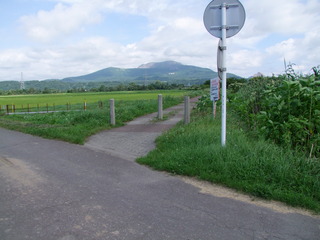 DSCF4647.JPG